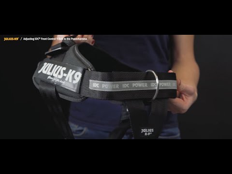Julius-K9 IDC Front Control Y Belt With Ring