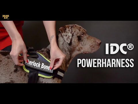 Julius-K9 IDC Powerharness Jeans with Neon Edge