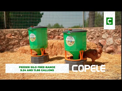 Free Range Poultry Silo Feeder 35Ltr