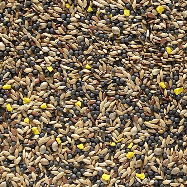 Johnston & Jeff Favourite Mixed Canary Seed 20Kg
