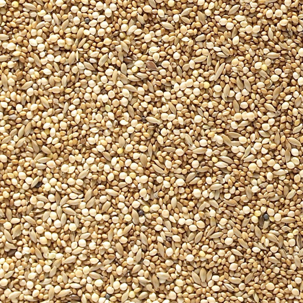 Johnston & Jeff Foreign Finch Seed - Bird Seed