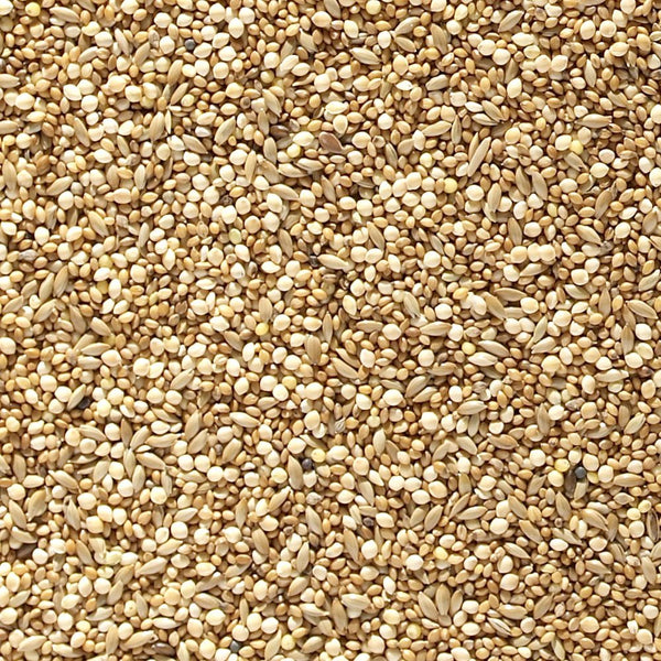 Johnston & Jeff Foreign Finch Seed - Bird Seed