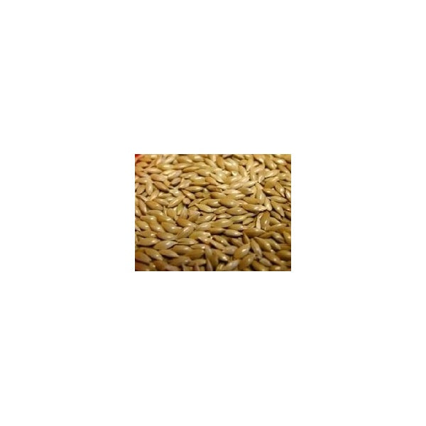 Johnston & Jeff Plain Canary Seed 20Kg