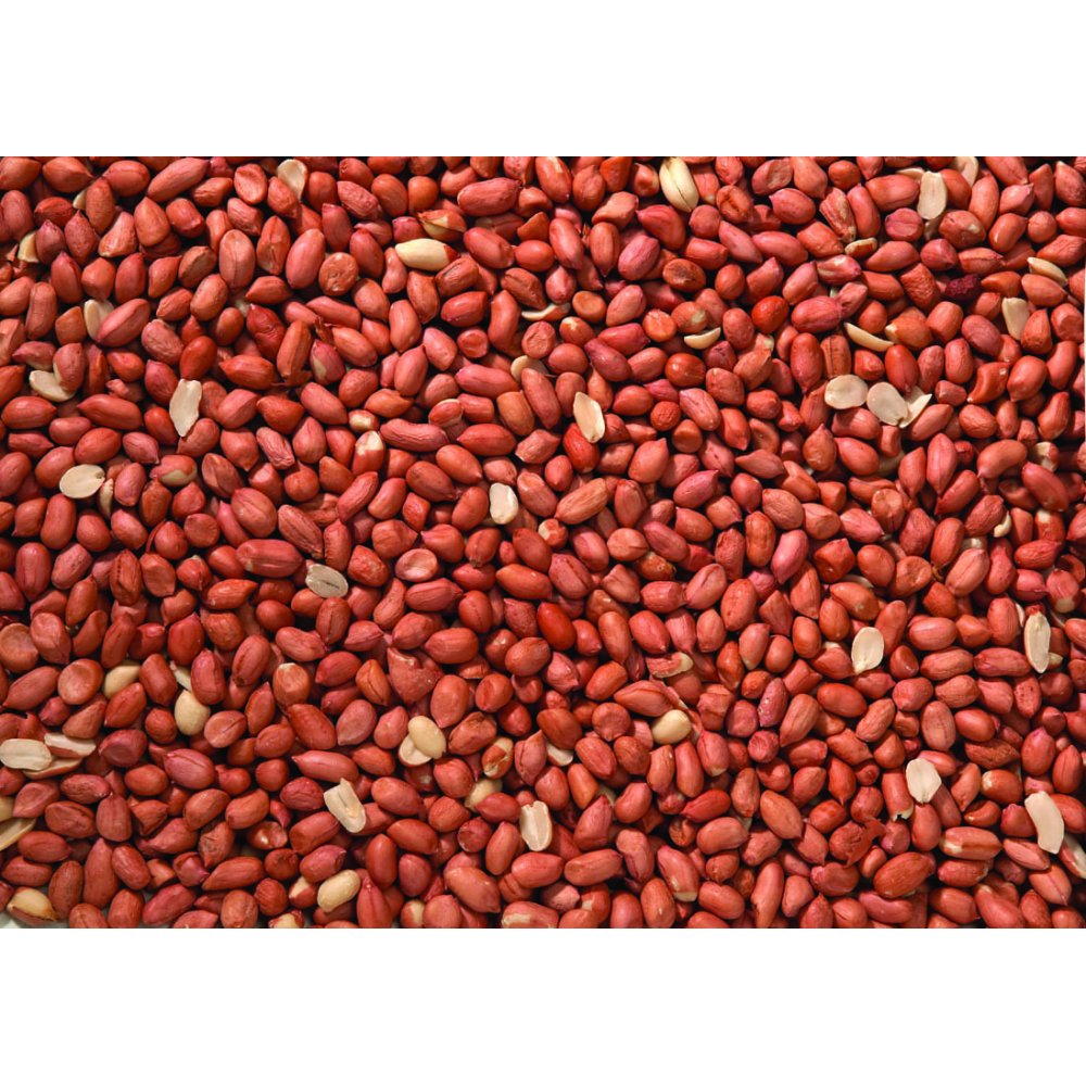 Johnston & Jeff Premium Peanuts - Bird Feed