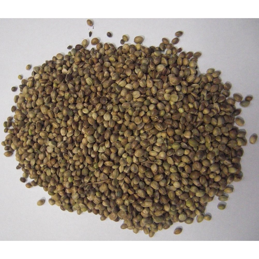 Johnston & Jeff Hempseed - Bird Feed