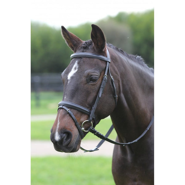 Kincade Flash Bridle Black