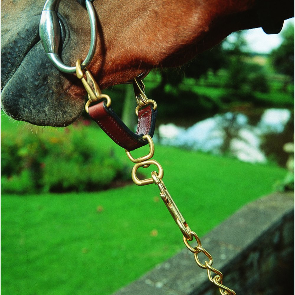 Shires Leather Newmarket Attachment Havana