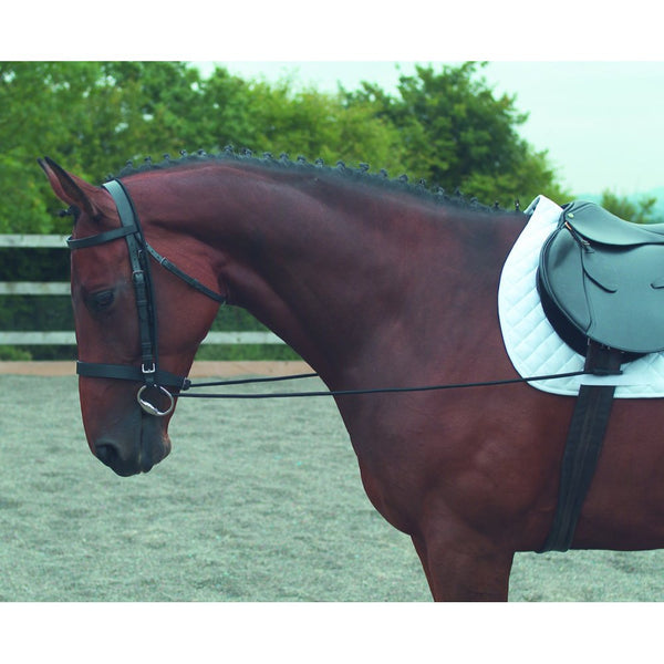 Shires Elastic Horse Riding Training Reins
