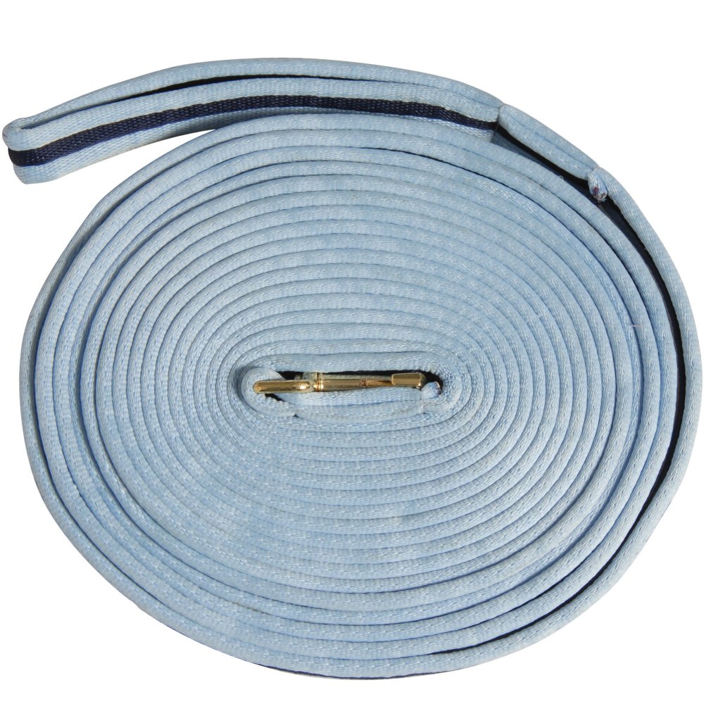 Kincade 2 Tone Padded Lunge Rein Blue