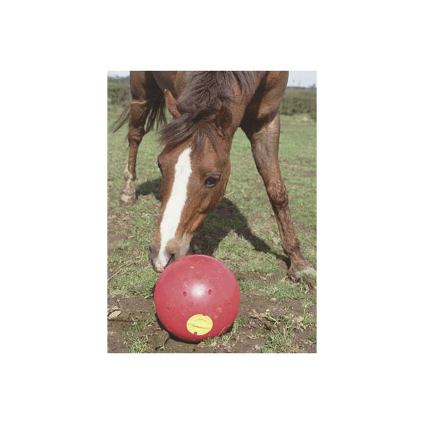 Likit Snack-A-Ball Horse Treat Toy