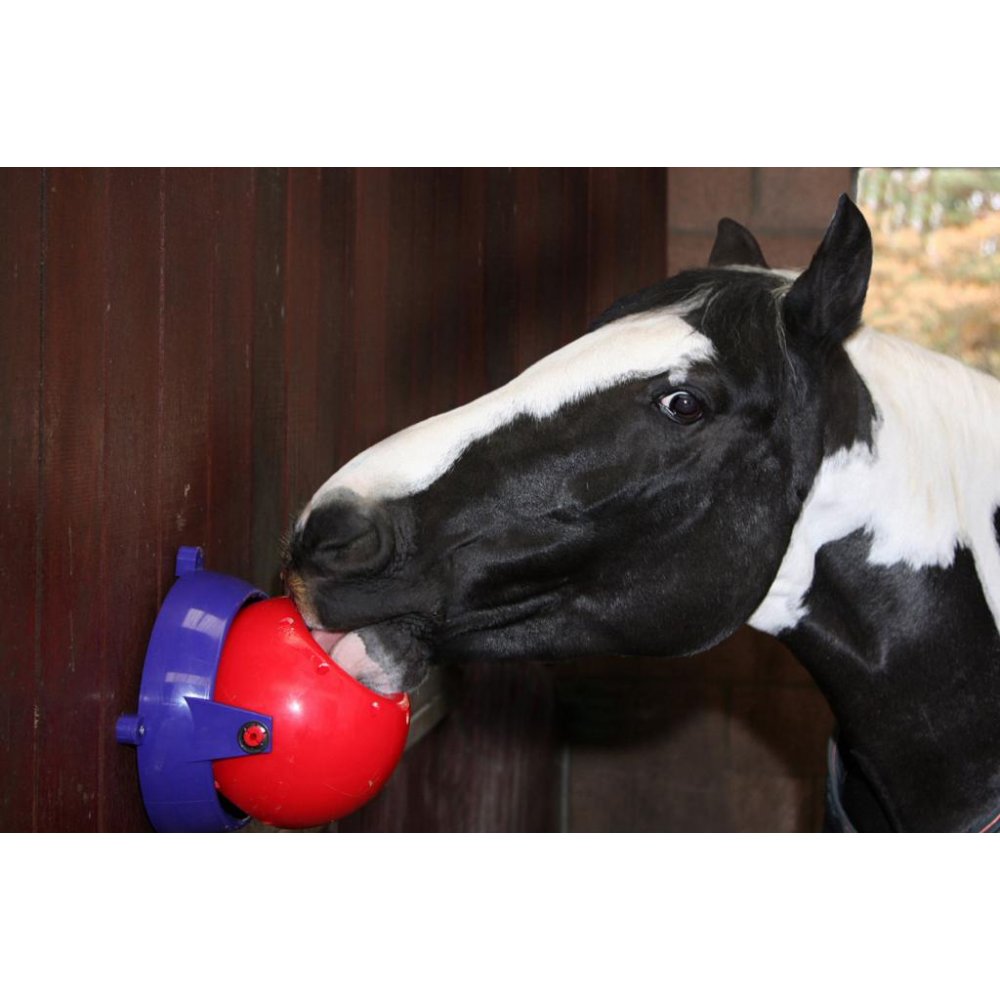 Likit Tongue Twister Horse Lick Toy