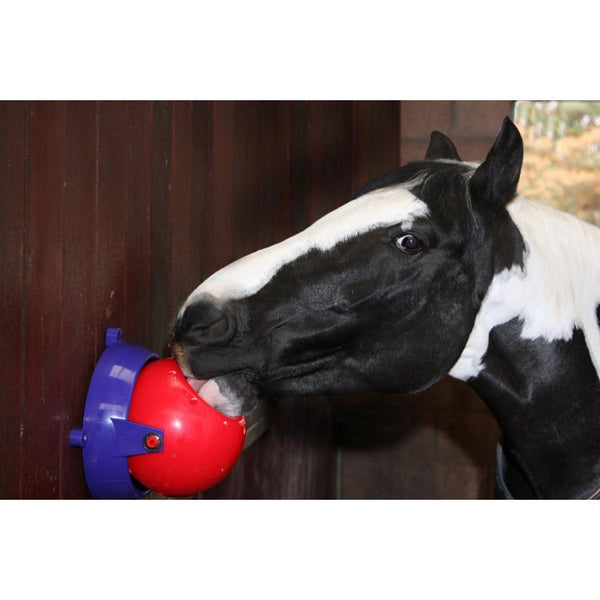 Likit Tongue Twister Horse Lick Toy
