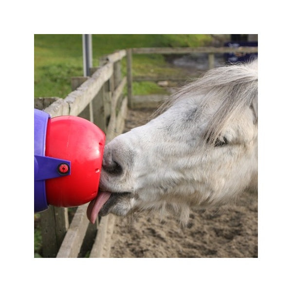 Likit Tongue Twister Horse Lick Toy