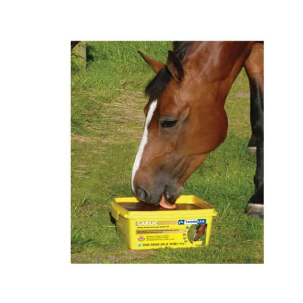 Horslyx Garlic Horse Lick Suppliment