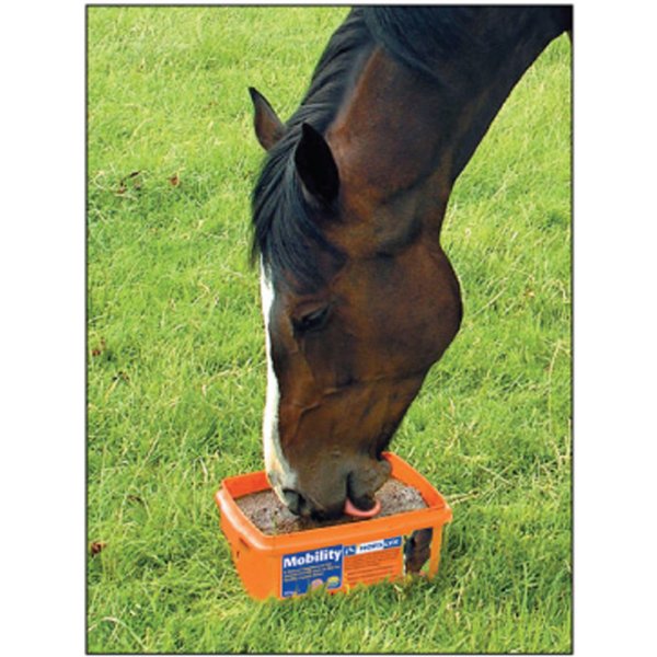 Horslyx Mobility Horse Lick Suppliment