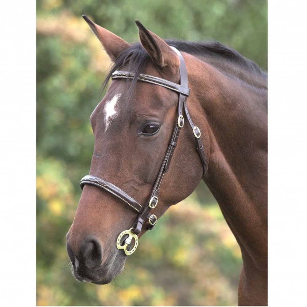 Shires Fancy Stitched In Hand Bridle Havana
