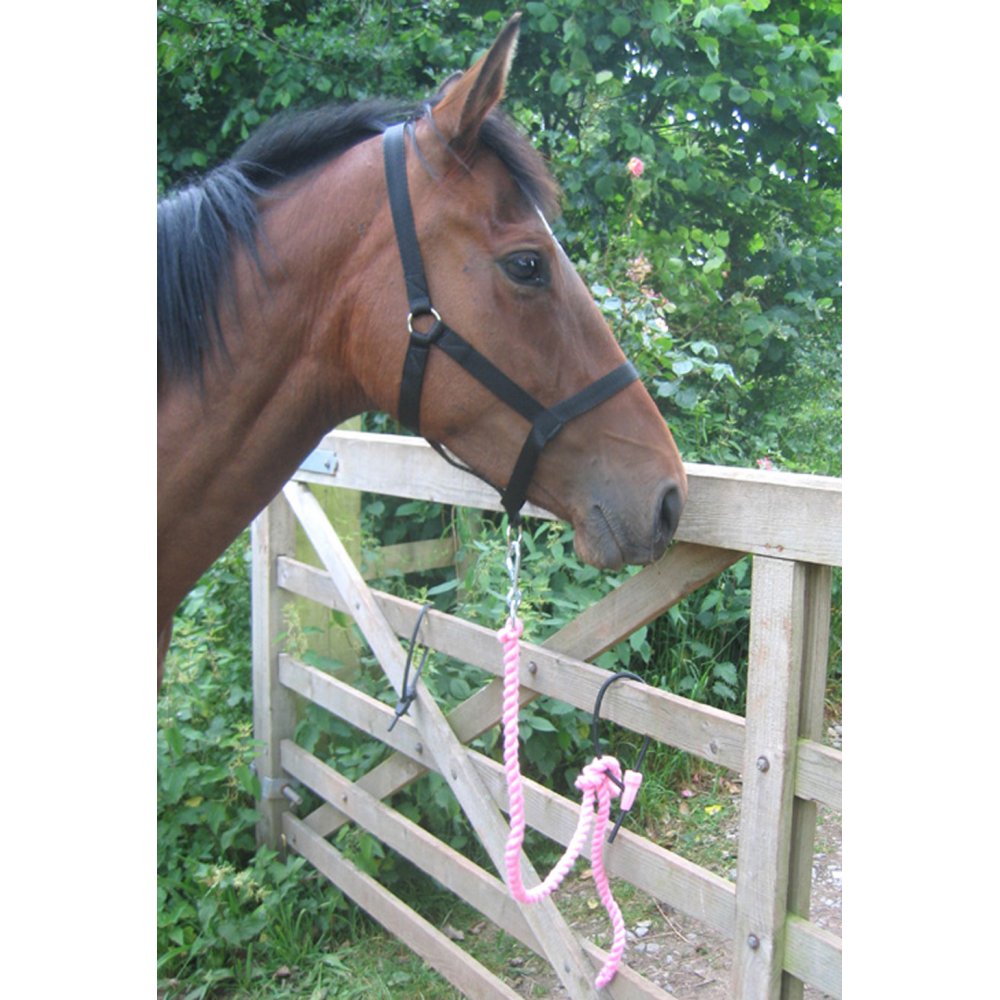 Moorland Rider Equitie Breakpoint Horse Tether Black