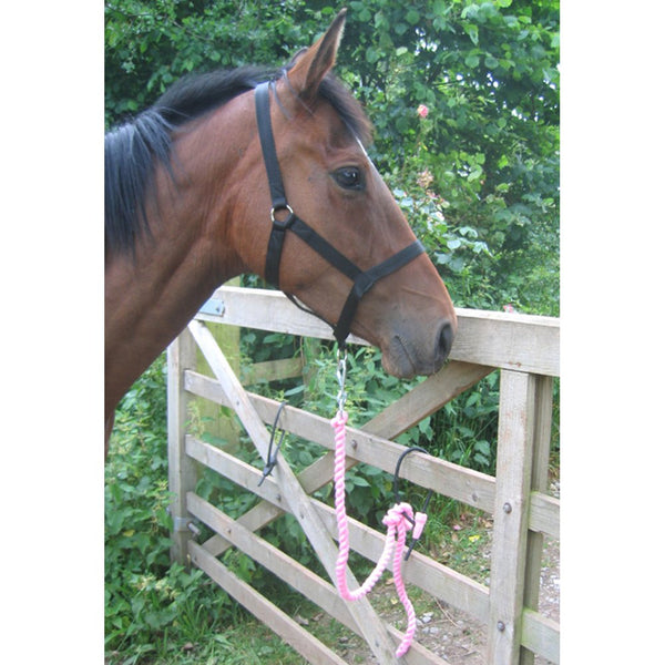 Moorland Rider Equitie Breakpoint Horse Tether Black