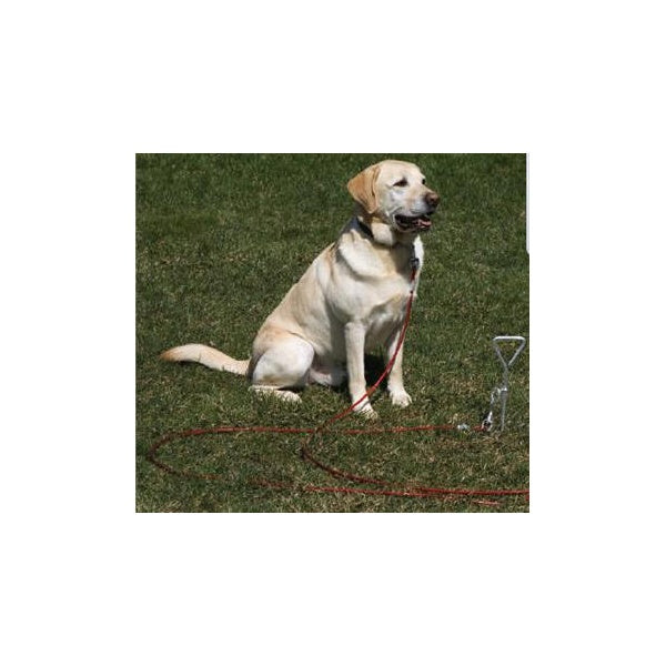 Ancol Dog Tie-Out Stake - Dog Tie Anchor Stake