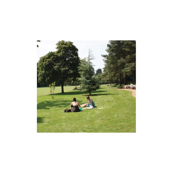 Designer Estate Lawn Seed with Rye-grass Grass Seed