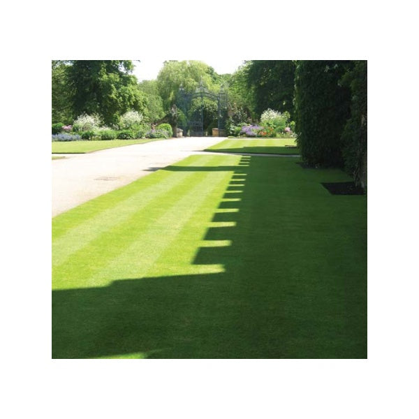 Designer Formal Lawn Seed without Rye-grass Grass Seed