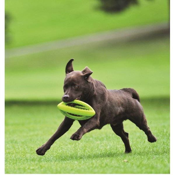 Happy Pet Grubber Interactive Rugby Ball Dog Toy