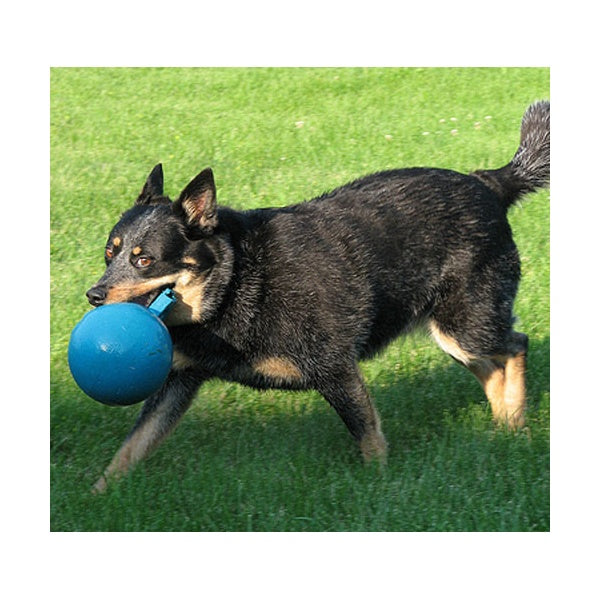 Jolly Pets 8" Tug-N-Toss Jolly Ball Blue - Dog Toy