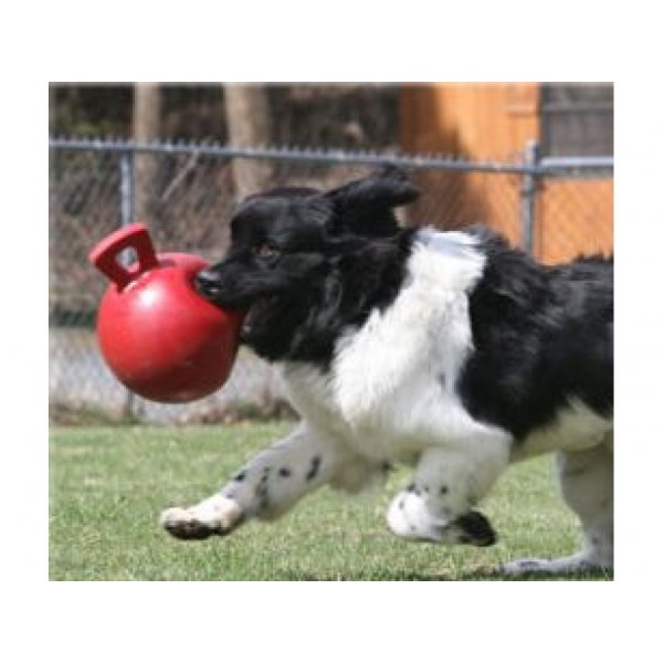 Jolly Pets 8" Tug-N-Toss Jolly Ball Red - Dog Toy