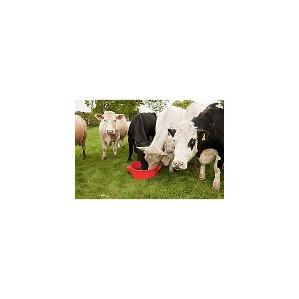 Rumenco Rumevite All Season 19" 22.5kg (was Hi Energy & Protein)