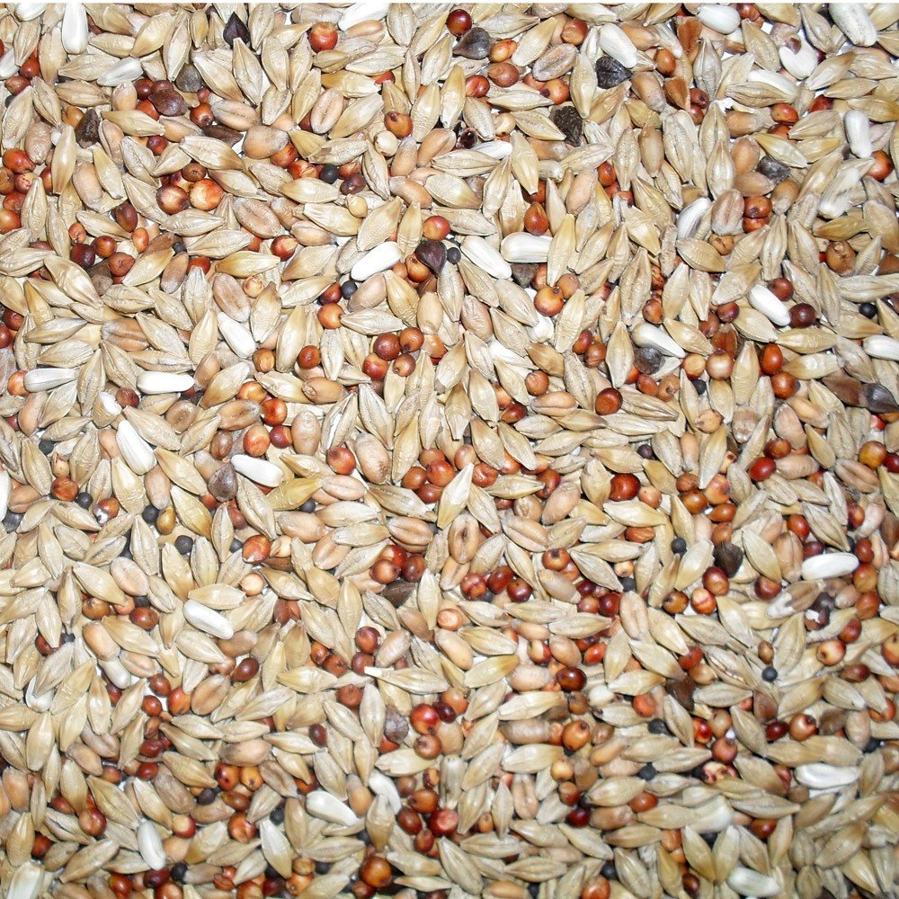 Johnston & Jeff Euro Pigeon Depurative 20Kg - Bird Seed