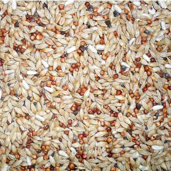 Johnston & Jeff Euro Pigeon Depurative 20Kg - Bird Seed