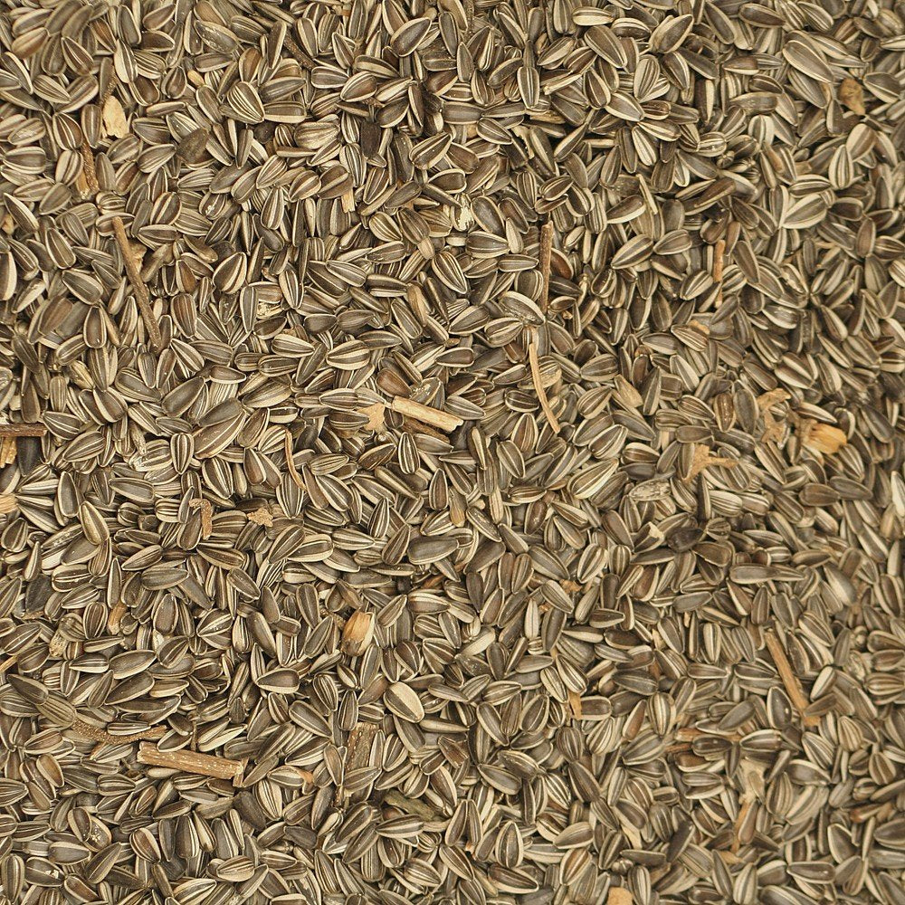 Johnston & Jeff Medium Striped Sunflower Seed 10Kg - Wild Bird Seed