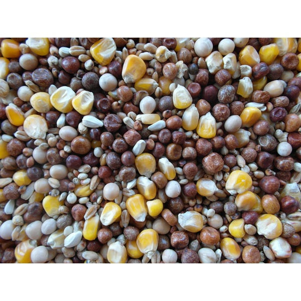 BJF All Rounder Pigeon Corn / Pigeon Food 25Kg