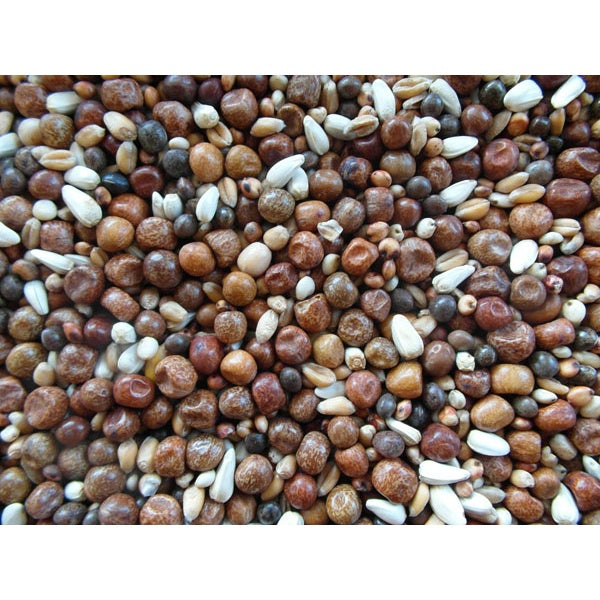BJF Breed & Wean Pigeon Corn / Pigeon Food 25Kg