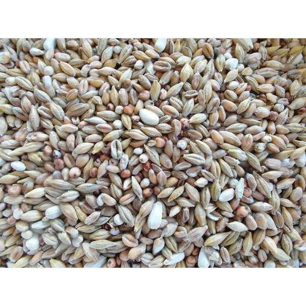 BJF Depurative Pigeon Corn Mix / Pigeon Food 25Kg