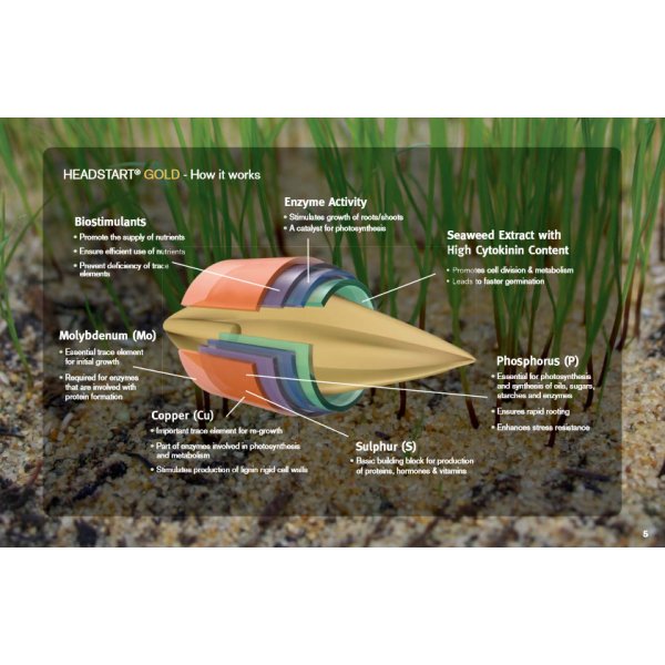 Monarch Permanent Pasture Grass Seed - Long Term Ley, Dual Purpose 13Kg