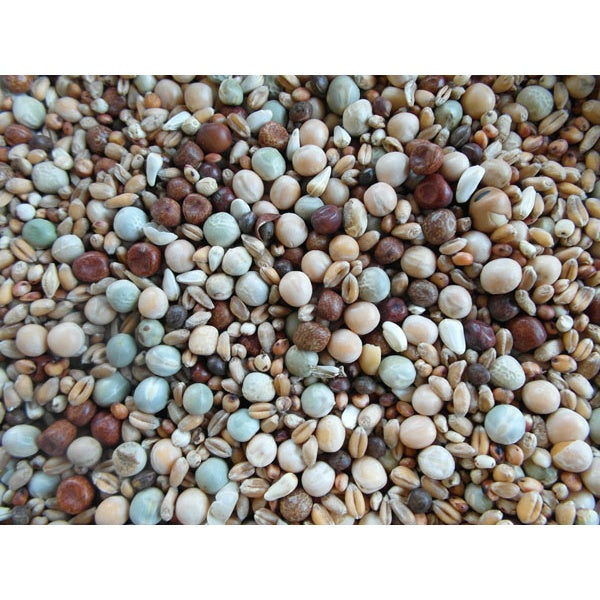 BJF Young Bird High Protein Pigeon Corn / Pigeon Food 25Kg