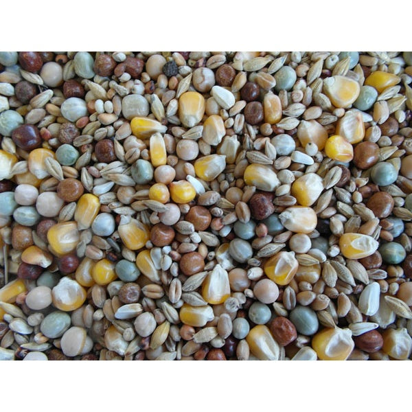BJF Moulting Pigeon Corn / Pigeon Food 25Kg