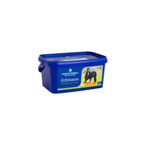 Dodson & Horrell Echinacea 1Kg Horse Immune System Supplement