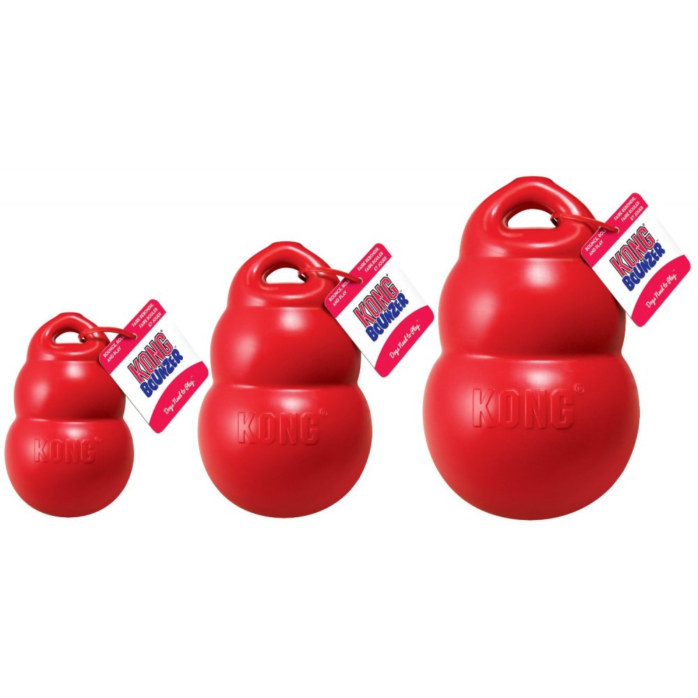 KONG Bounzer Dog Toy