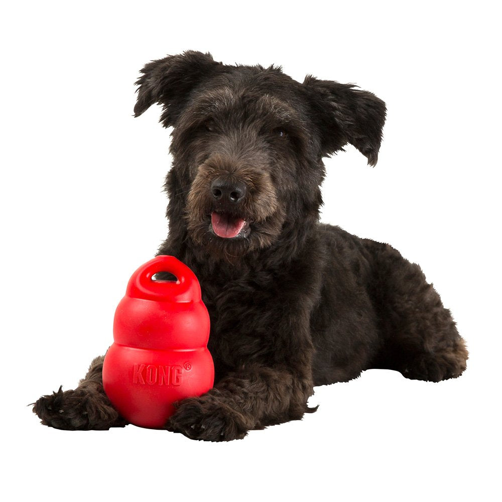 KONG Bounzer Dog Toy