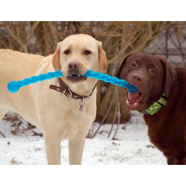 KONG Safestix - Throw And Fetch Dog Toy