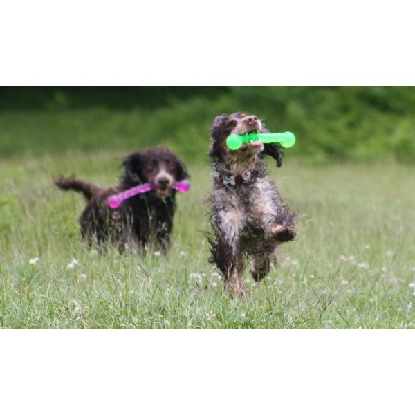 KONG Safestix - Throw And Fetch Dog Toy