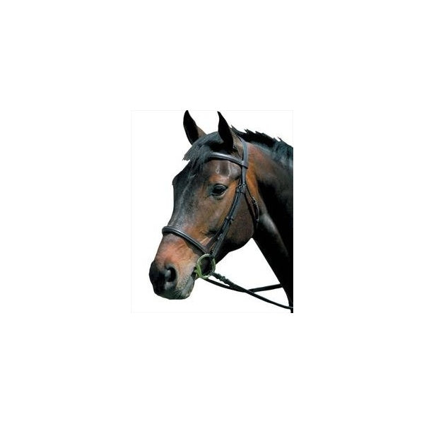 Kincade Raised Cavesson Bridle Brown