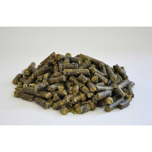 Dengie Alfa Beet 20Kg - Horse Feed