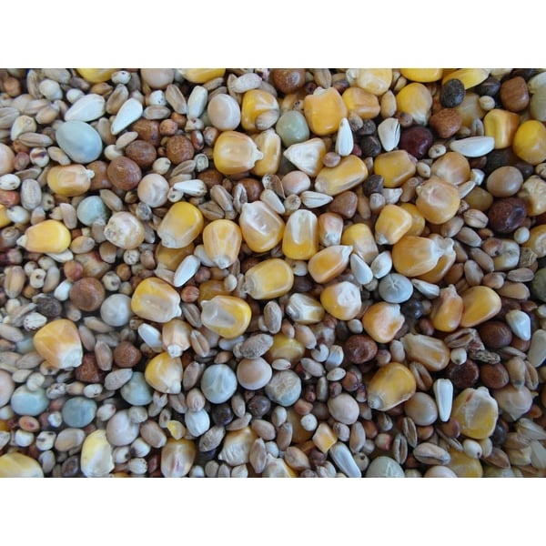 BJF Widowhood Pigeon Corn / Pigeon Food 25Kg