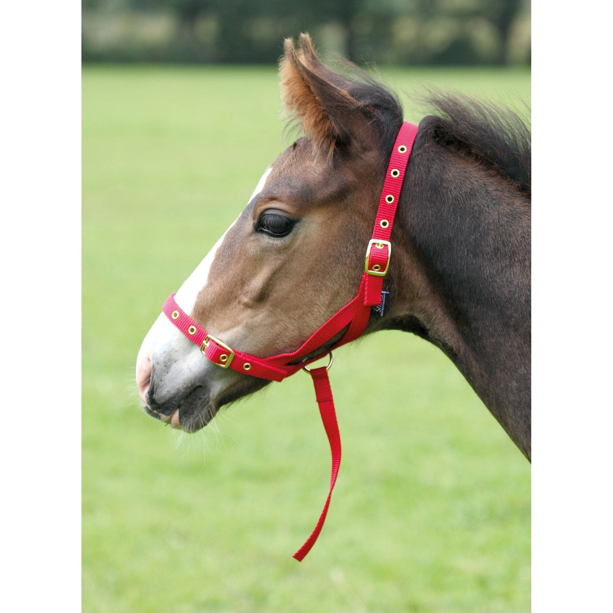 Shires Nylon Foal Slip - Foal Headcollar