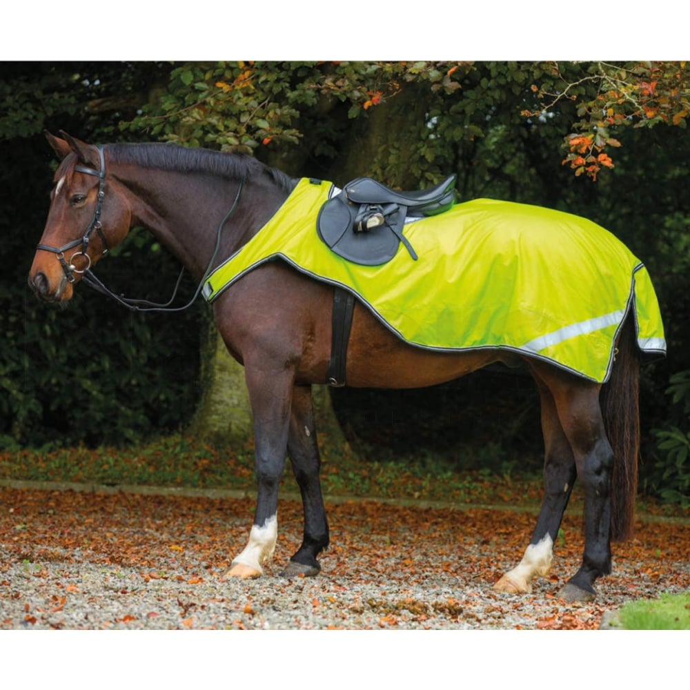 Amigo Reflective Competition Sheet Yellow