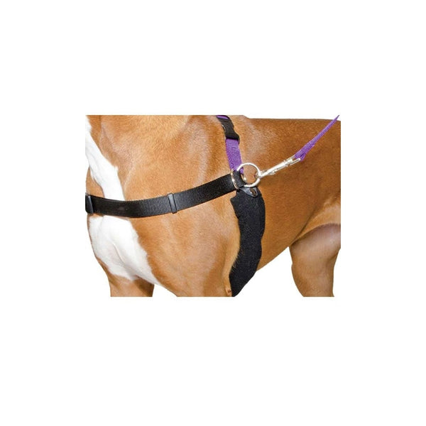 Ancol Happy At Heel Dog Training Harness & Lead Set with DVD