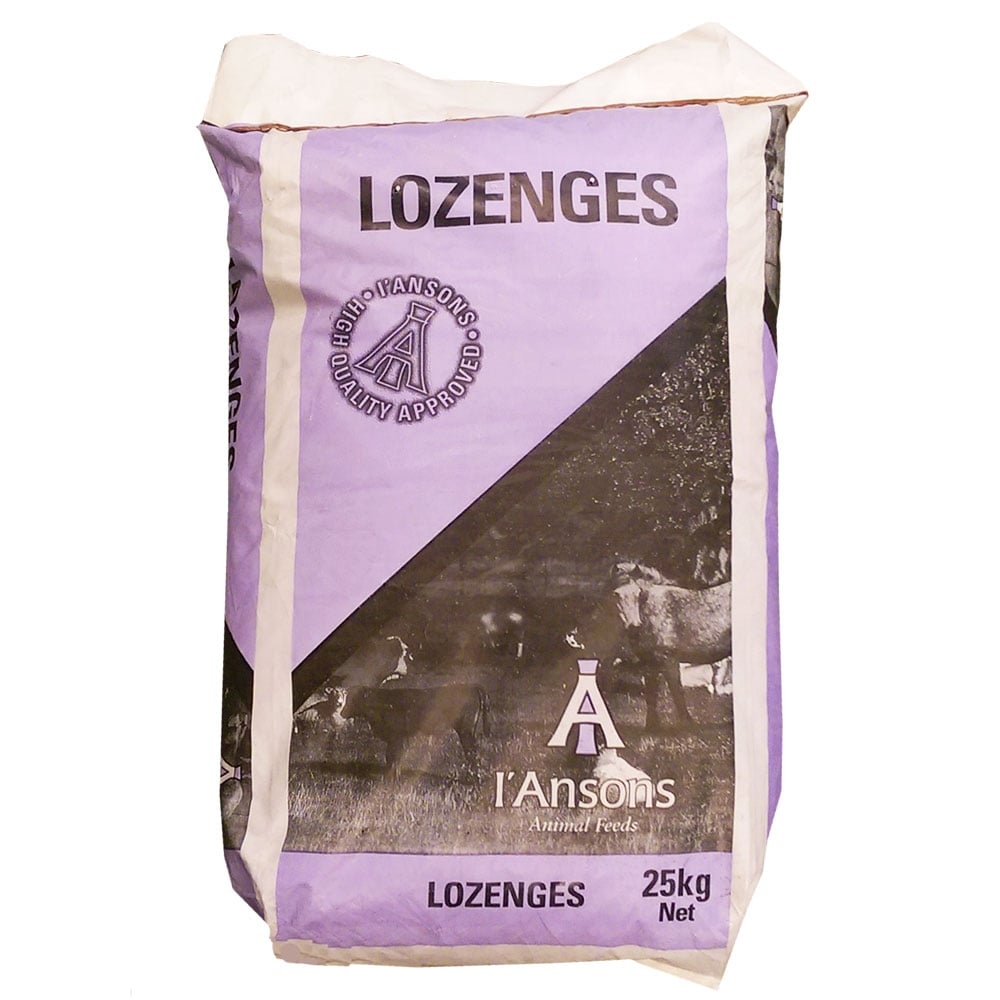 I'Ansons Linseed Lozenges 25Kg